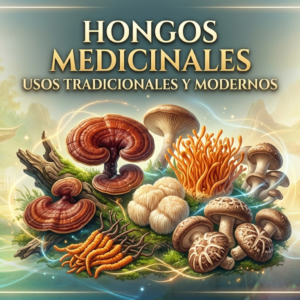 Seminario "Hongos Medicinales"