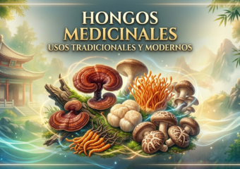 Seminario «Hongos Medicinales»