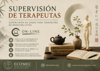 Supervisión de terapeutas